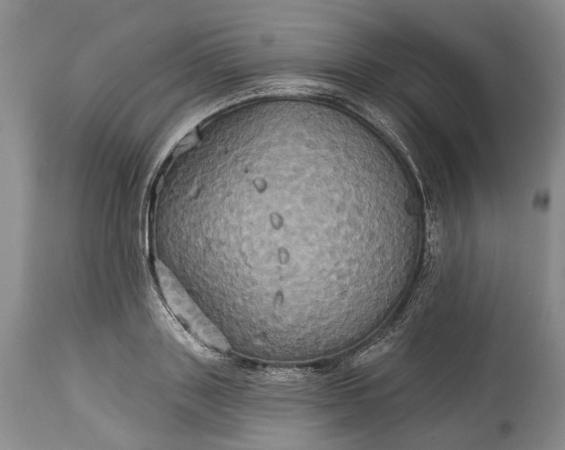 X0000115330843200911161807