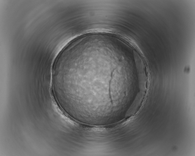 X0000115330844200911161807