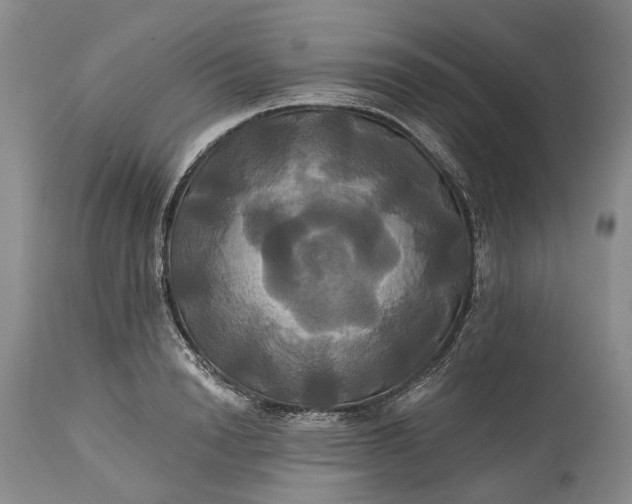 X0000115330846200911161807