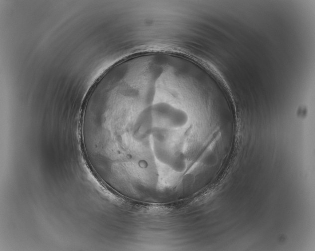 X0000115330847200911161807
