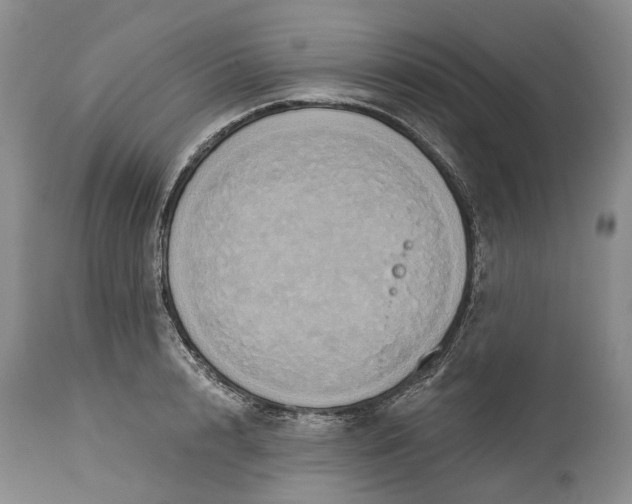 X0000115330848200911161807