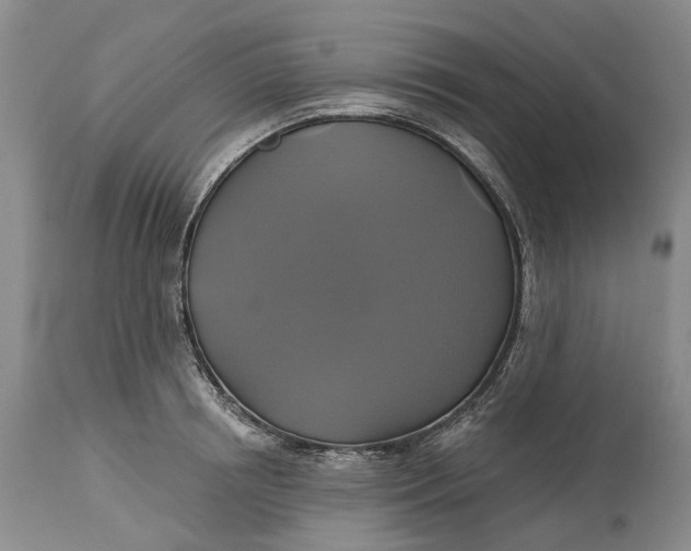 X0000115330850200911161807