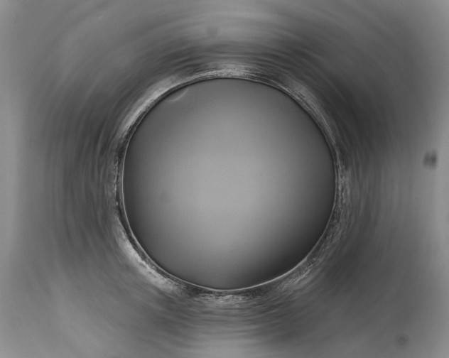 X0000115330851200911161807
