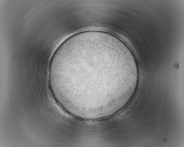 X0000115330852200911161807