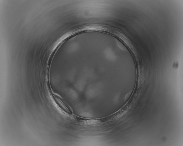 X0000115330853200911161807
