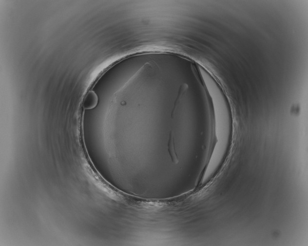 X0000115330854200911161807