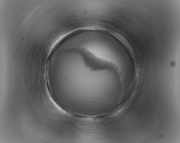 X0000115330855200911161807