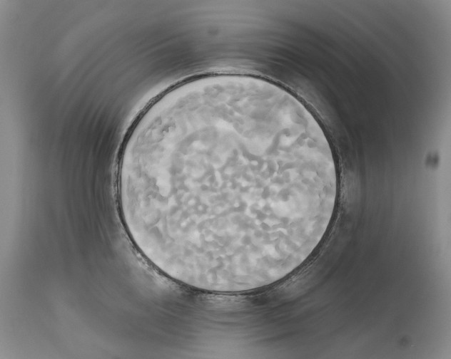 X0000115330856200911161807