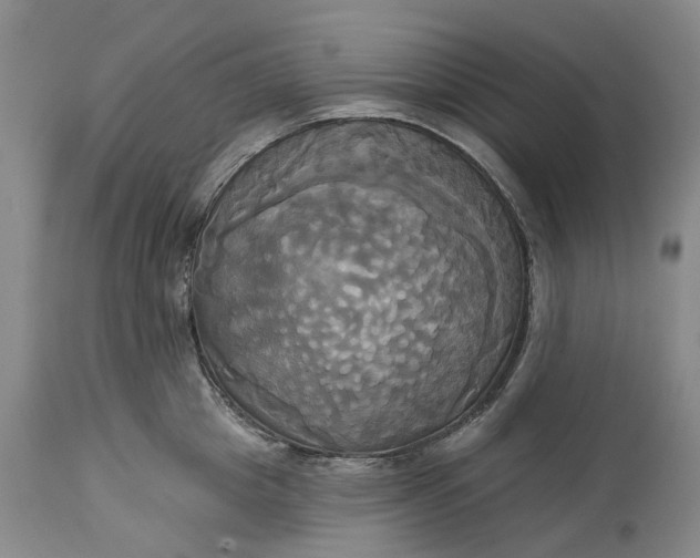 X0000115330857200911161807