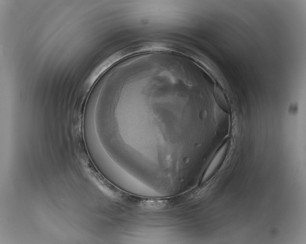 X0000115330858200911161807