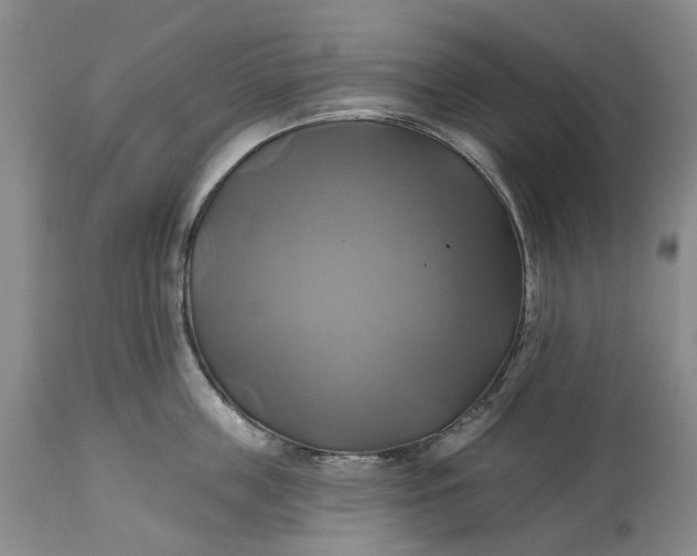 X0000115330859200911161807
