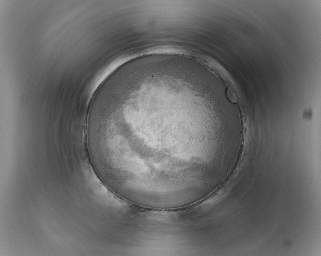 X0000115330860200911161807