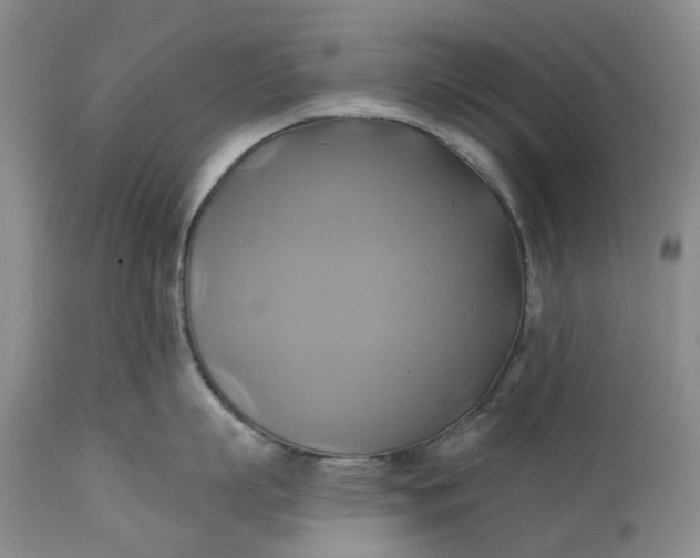X0000115330863200911161807