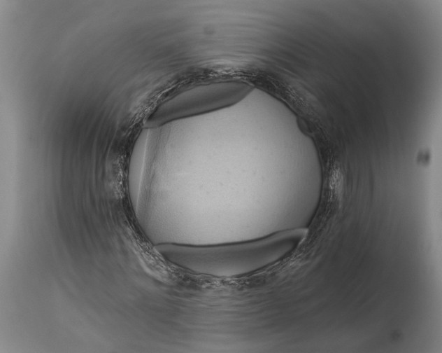 X0000115330868200911161807