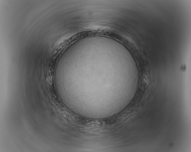 X0000115330869200911161807