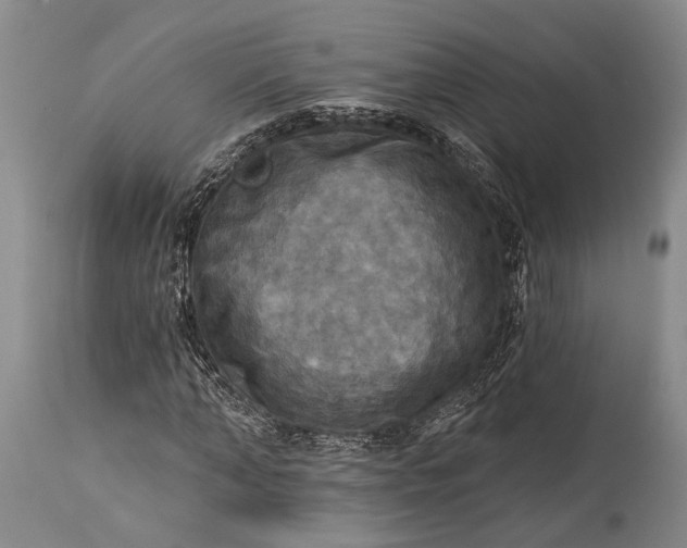 X0000115330870200911161807