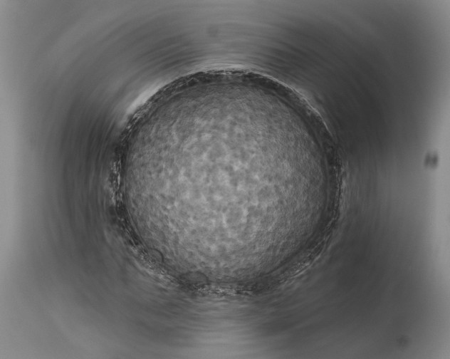 X0000115330871200911161807