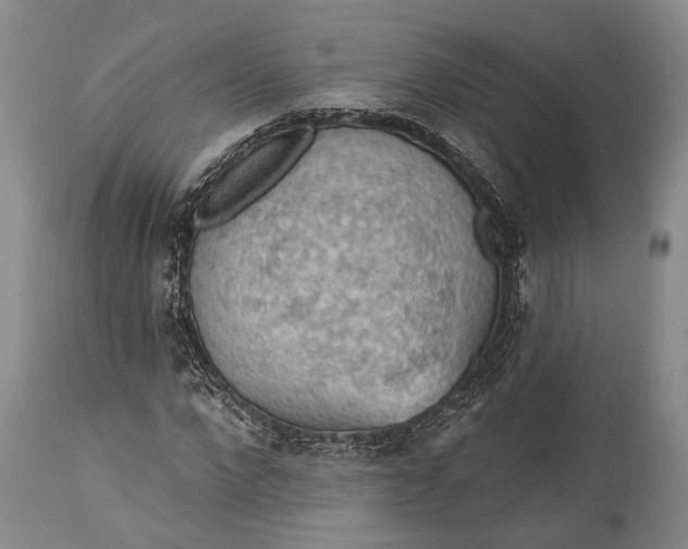 X0000115330872200911161807
