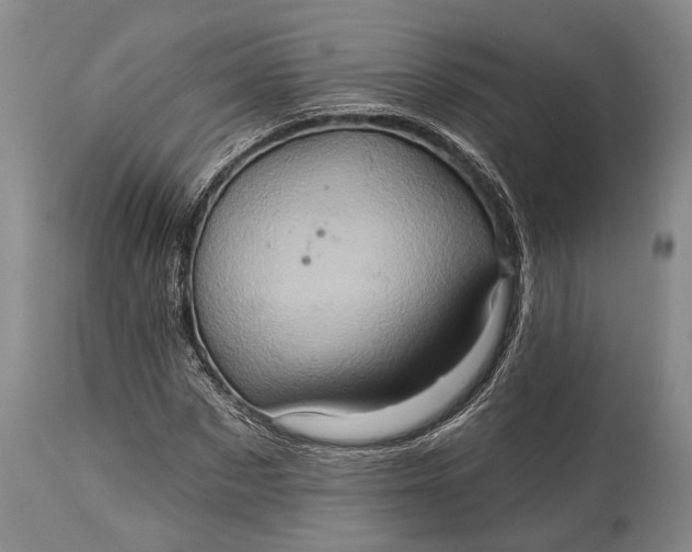 X0000115330873200911161807
