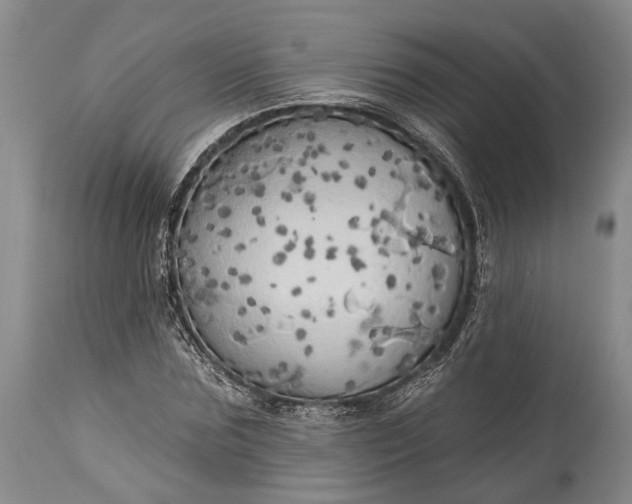 X0000115330875200911161806