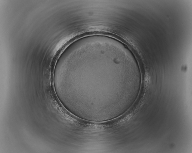 X0000115330877200911161806