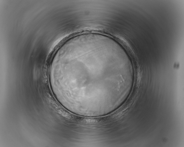 X0000115330878200911161806