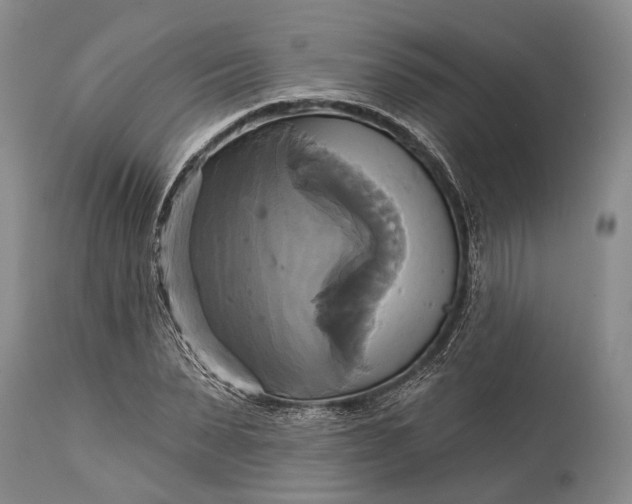 X0000115330879200911161806