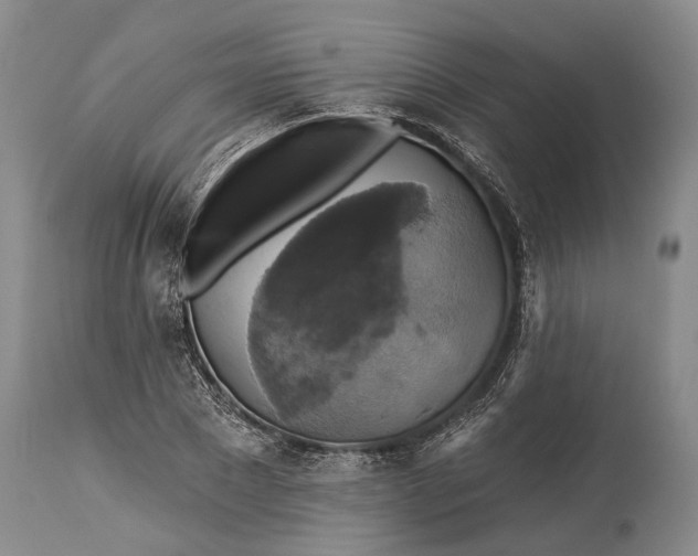 X0000115330881200911161806