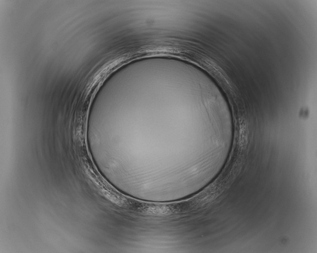 X0000115330882200911161806