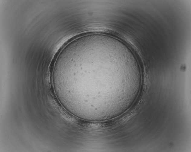 X0000115330883200911161806