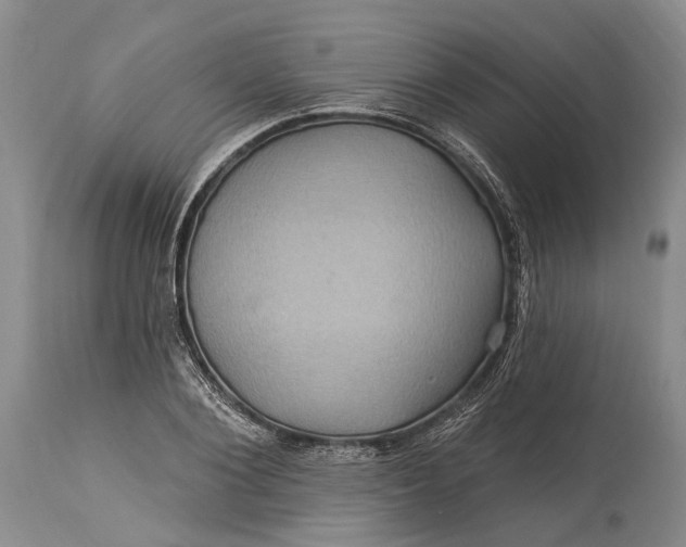 X0000115330884200911161806