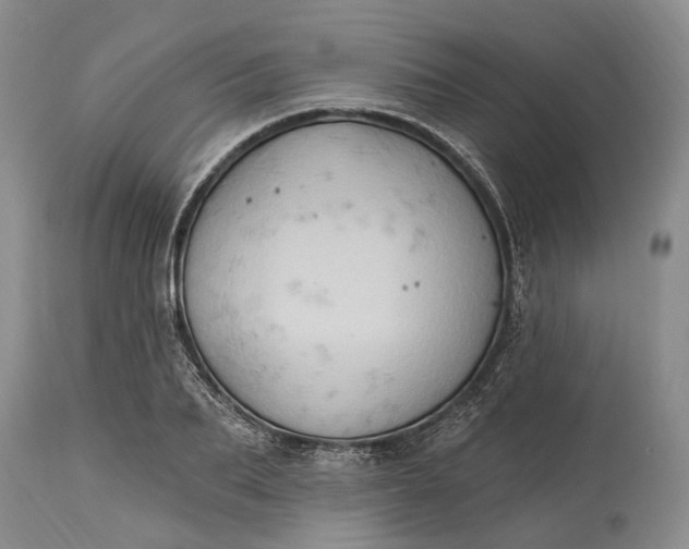 X0000115330887200911161806