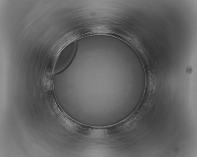 X0000115330889200911161806