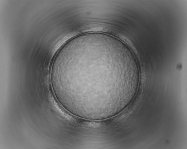 X0000115330890200911161806