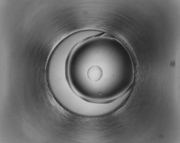 X0000115330892200911161806