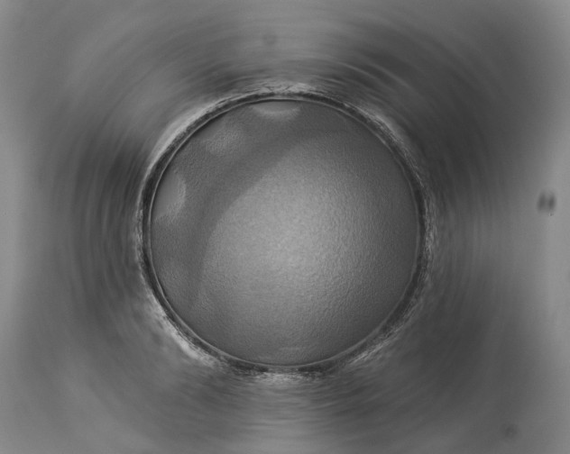 X0000115330894200911161806