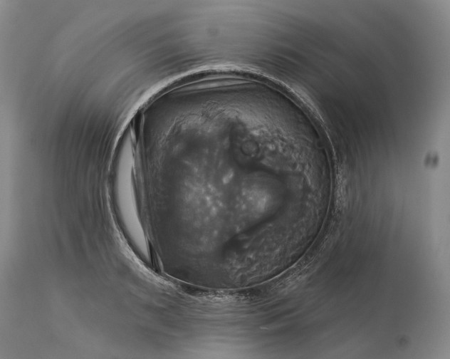 X0000115330895200911161806