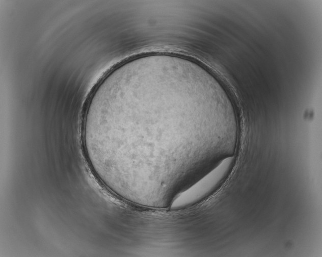 X0000115330896200911161806
