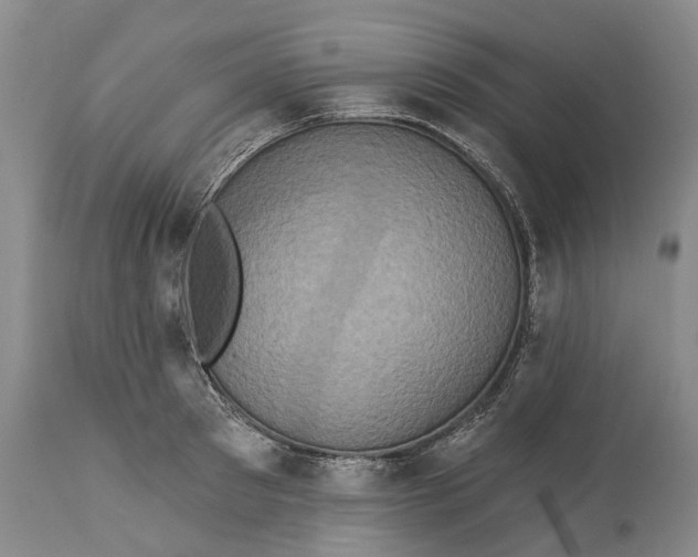 X0000115330897200911161806