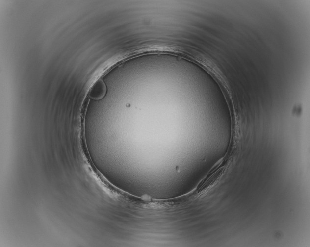 X0000115330898200911161806