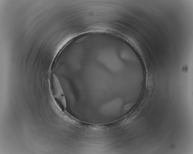 X0000115330899200911161806
