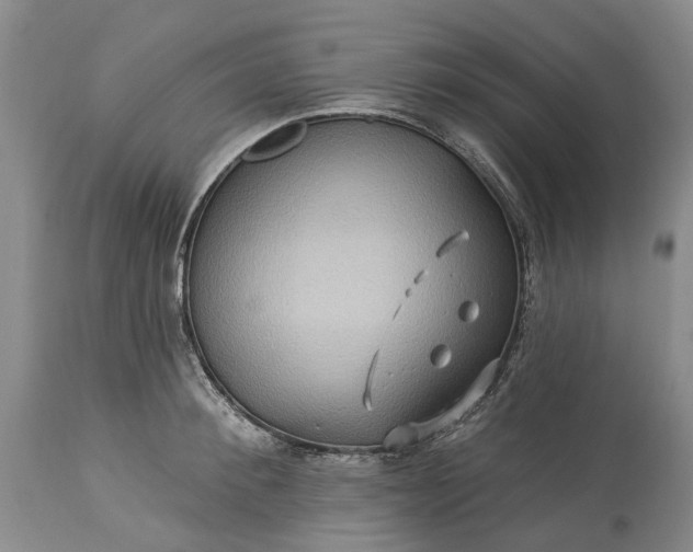 X0000115330900200911161806