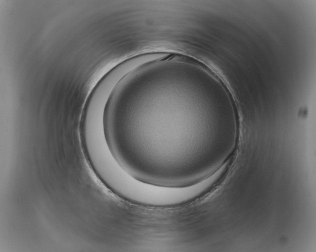 X0000115330901200911161806