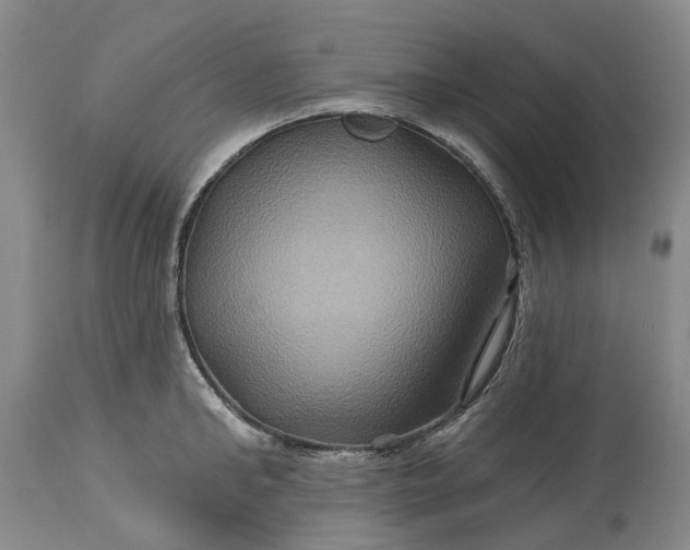 X0000115330902200911161806