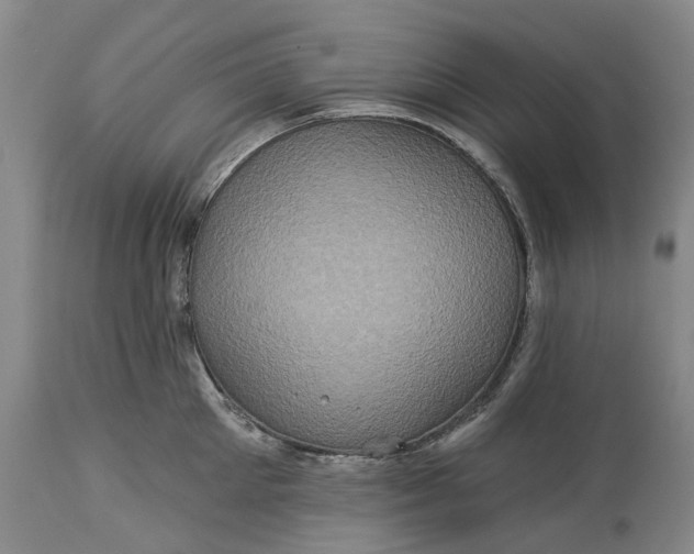 X0000115330905200911161806