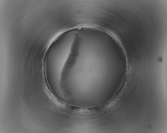 X0000115330907200911161806