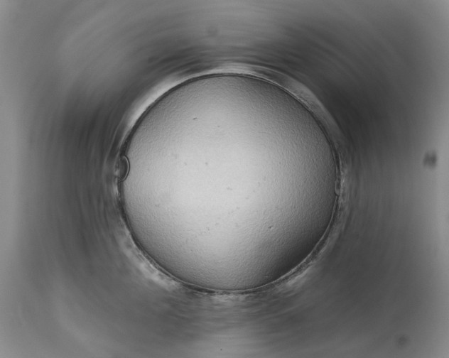 X0000115330908200911161806