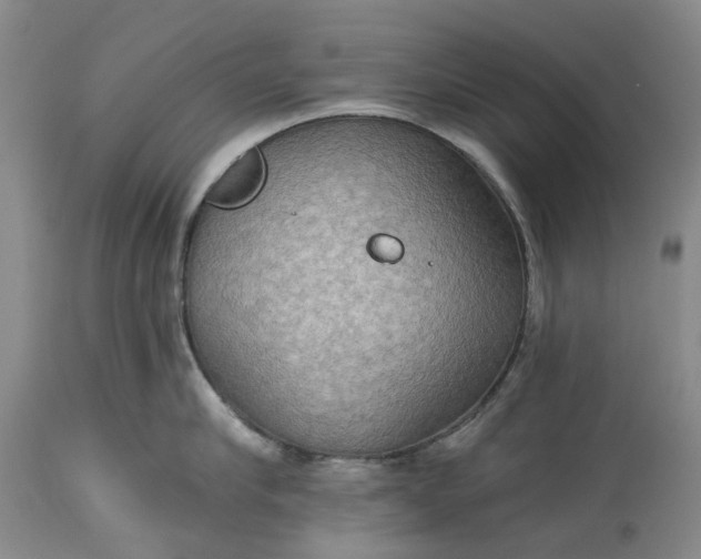 X0000115330910200911161806