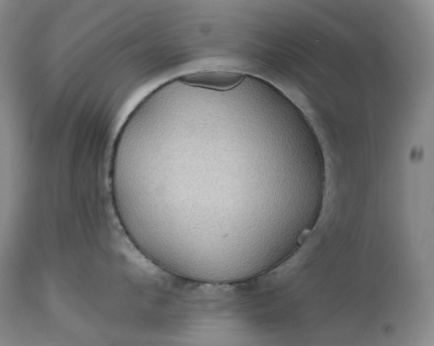 X0000115330912200911161806