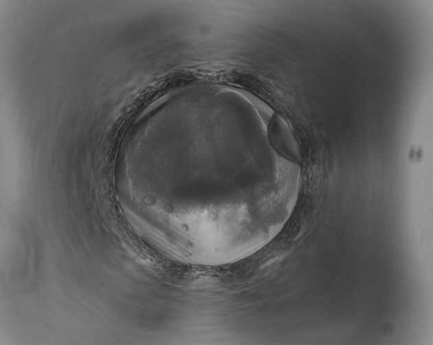 X0000115330913200911161805